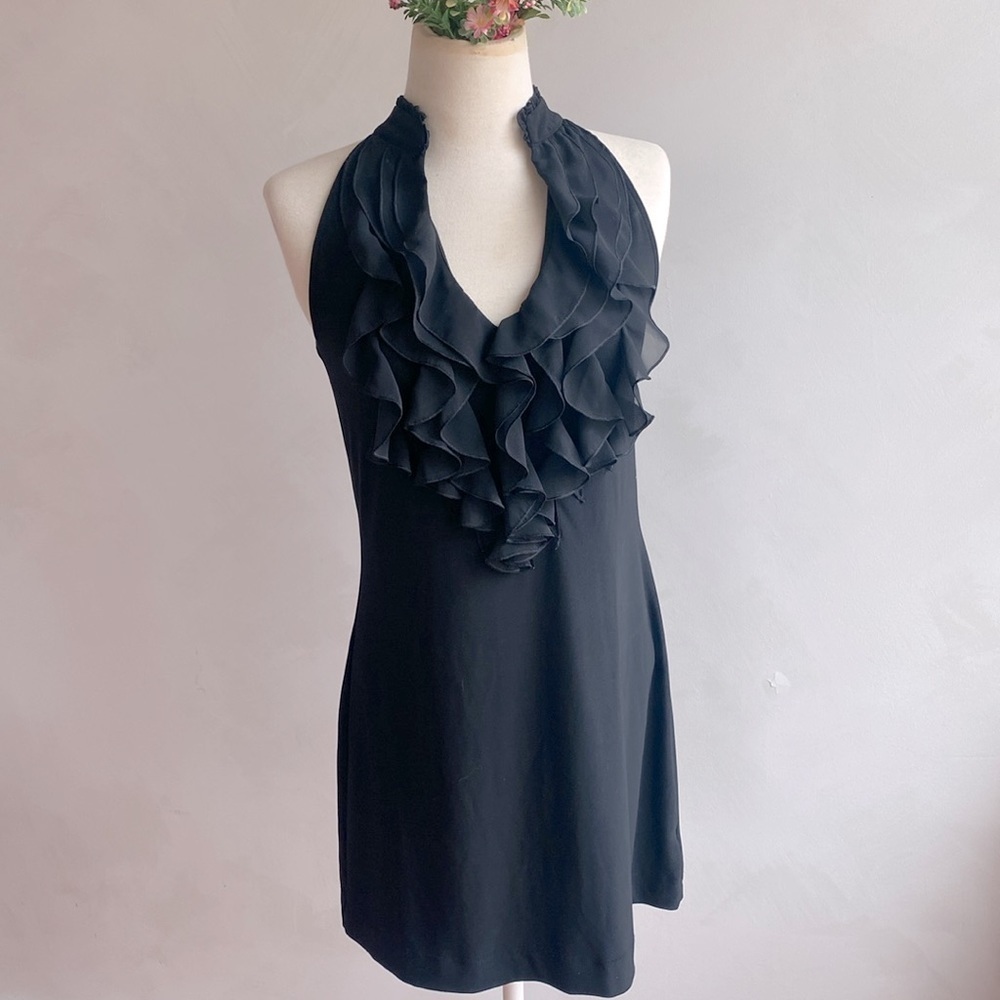 White House black market signature, knit dress with sheer ruffles on bust area